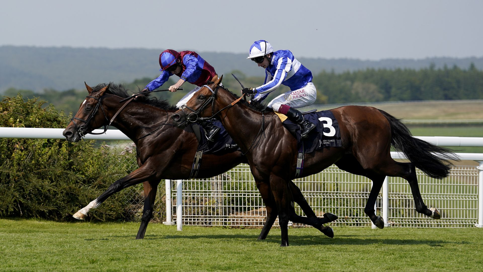 St Leger tips: Jan Brueghel backed to bring home Classic glory for Aidan O'Brien | Racing News